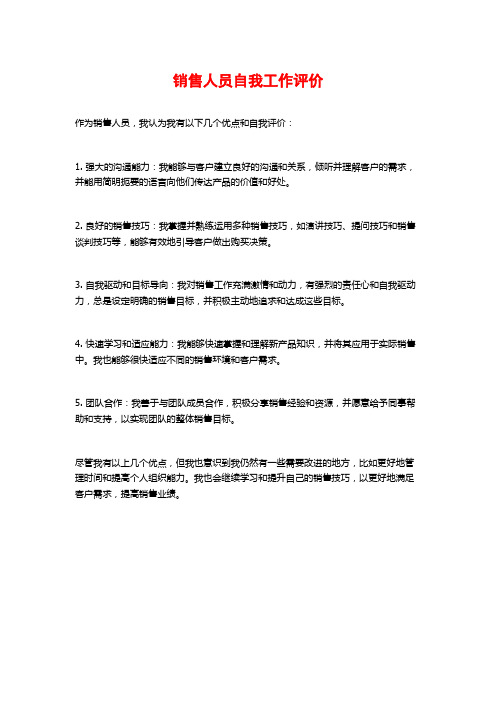 销售人员自我工作评价