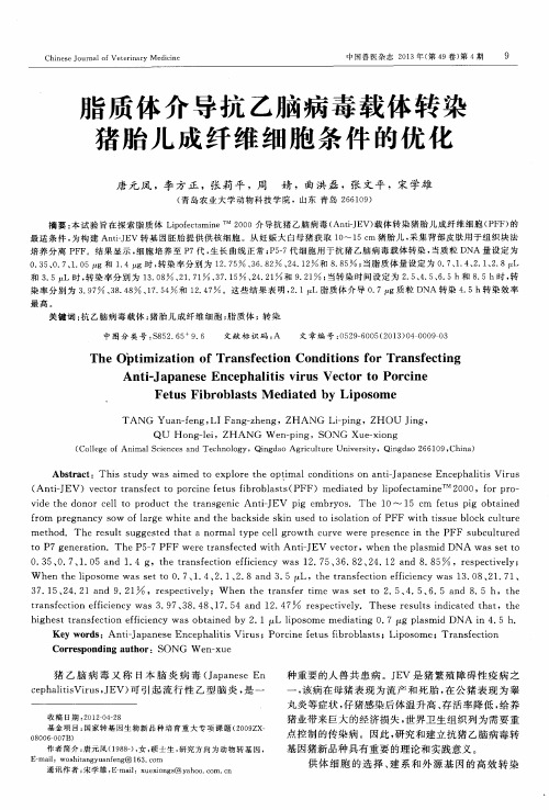 脂质体介导抗乙脑病毒载体转染猪胎儿成纤维细胞条件的优化