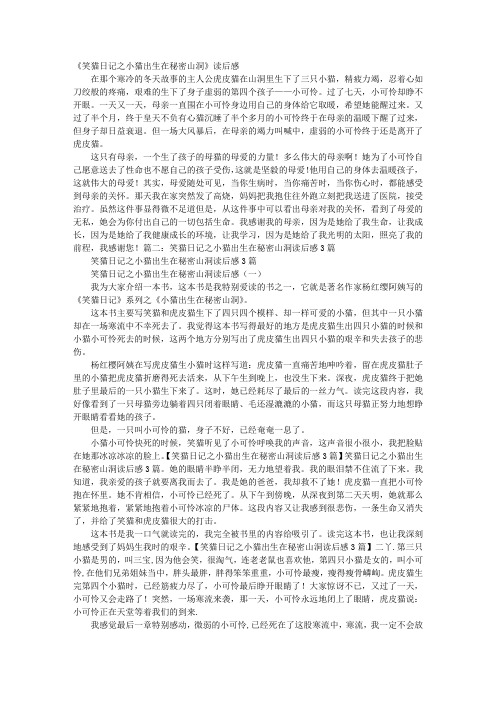 笑猫日记小猫出生在秘密山洞读书笔记