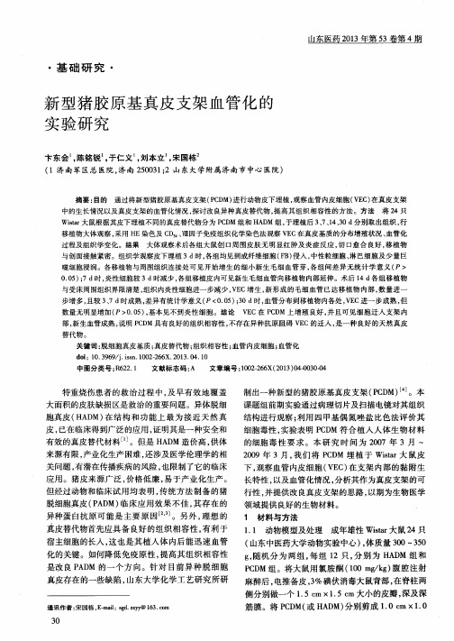 新型猪胶原基真皮支架血管化的实验研究