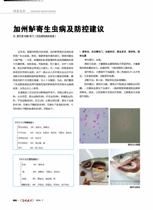 加州鲈寄生虫病及防控建议