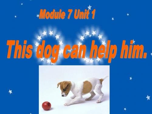 新标准英语第九册M7U1This dog can help him.