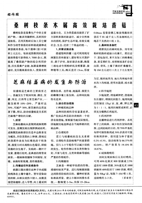 芝麻枯萎病的发生与防治