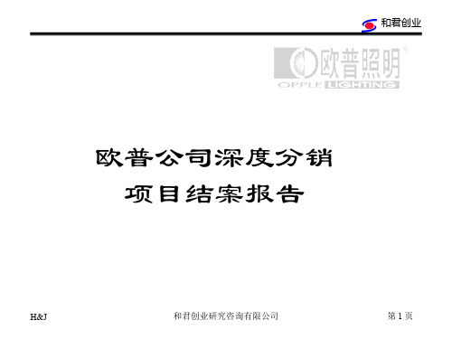 某公司深度分销项目管理知识报告分析(PPT 43页)