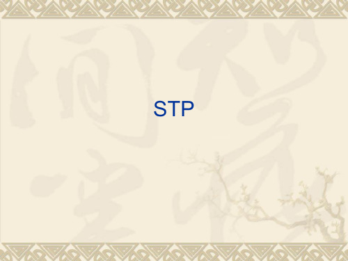 国际市场营销学之STP.pptx
