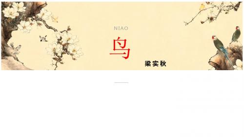 人教版七年级上册第18课《鸟》一等奖优秀课件