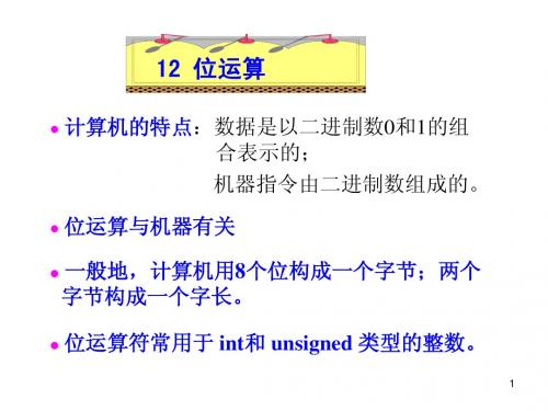 12_位运算