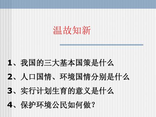 实施可持续发展战略PPT