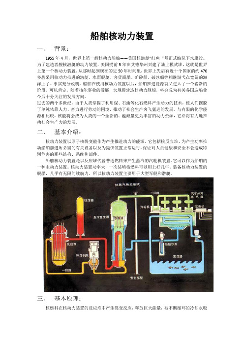 核动力装置