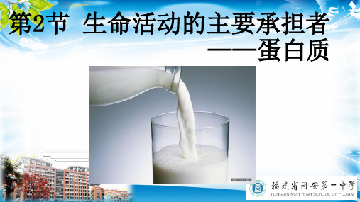 2.2生命活动的主要承担者——蛋白质(38张PPT)[优秀课件资料]