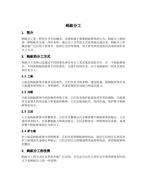 蚂蚁分工的详细介绍