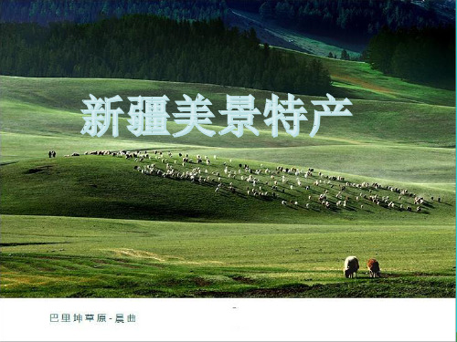 八年级地理下册第八章第三节新疆维吾尔自治区的地理概况和区域开发课件(新版)湘教版