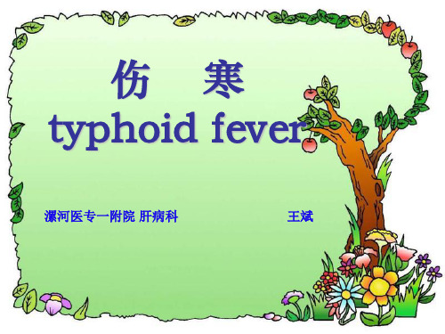 伤寒与副伤寒PPT课件