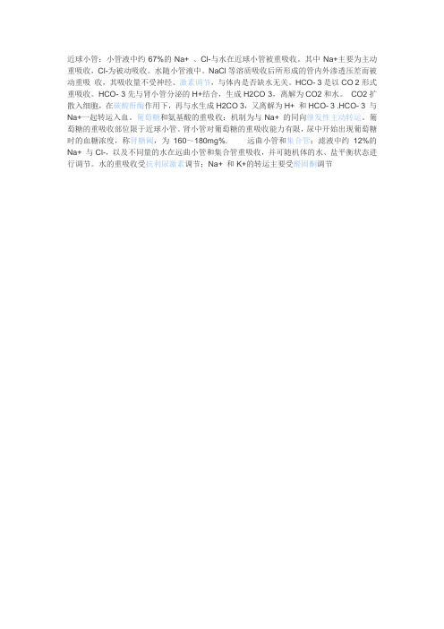 近球小管