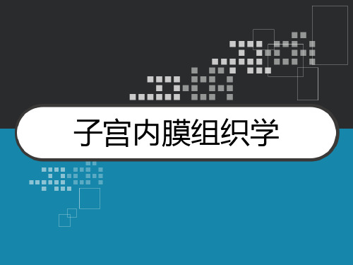 子宫内膜组织学 PPT