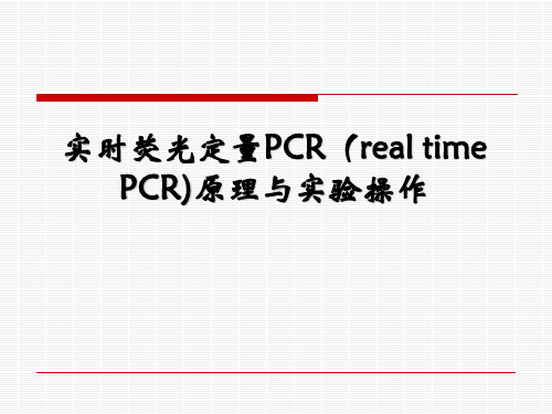 real time RT-PCR