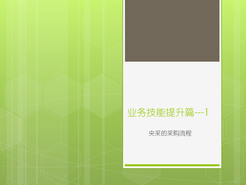 中央政府采购的流程和标准