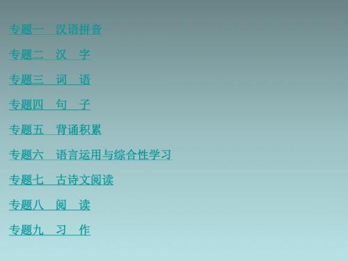 小学语文毕业升学考试系统总复习全套PPT课件