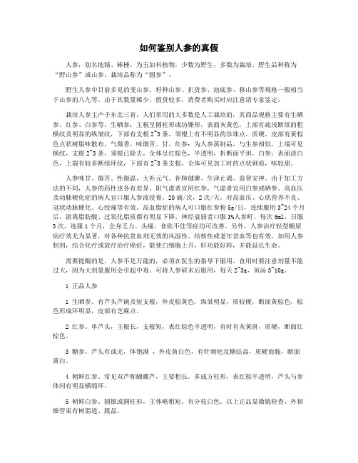 如何鉴别人参的真假