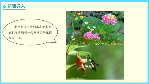 北师版(二上)数学课件-花园