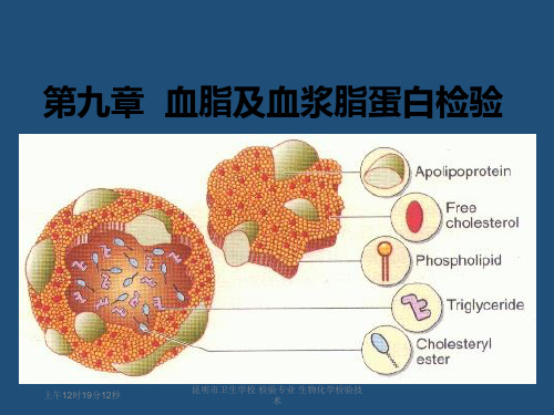 第九章血脂及血浆脂蛋白检验PPT课件