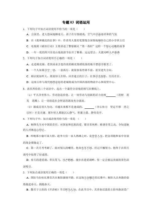高频考点专项复习：词语运用