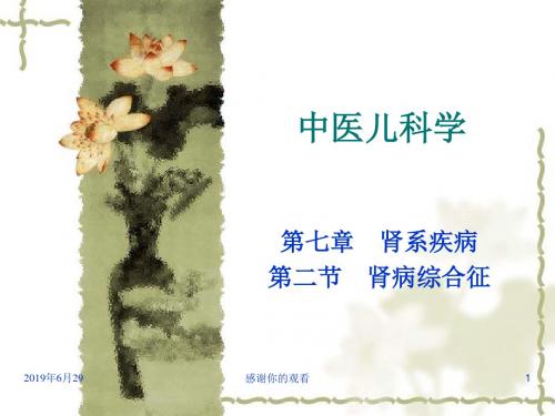 中医儿科学——肾系疾病.pptx