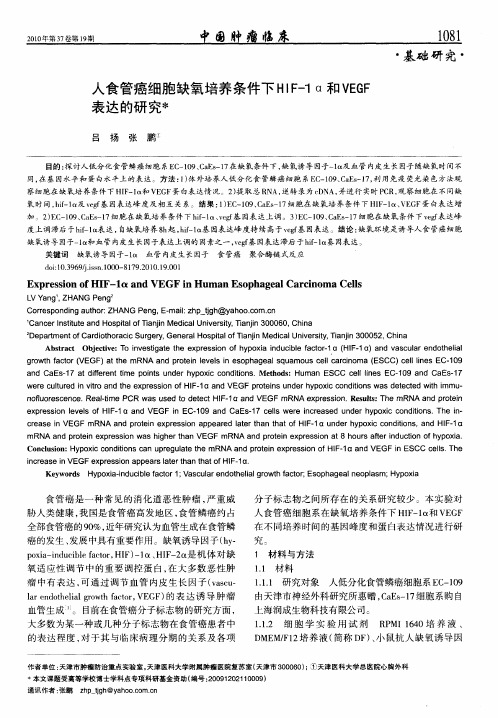 人食管癌细胞缺氧培养条件下HIF-1α和VEGF表达的研究