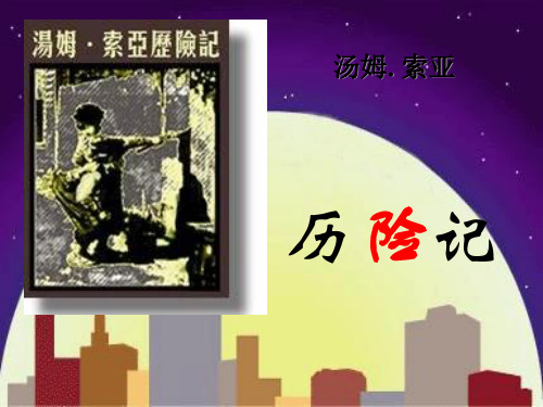 人教版六年级语文下册《汤姆·索亚历险记》课件PPT