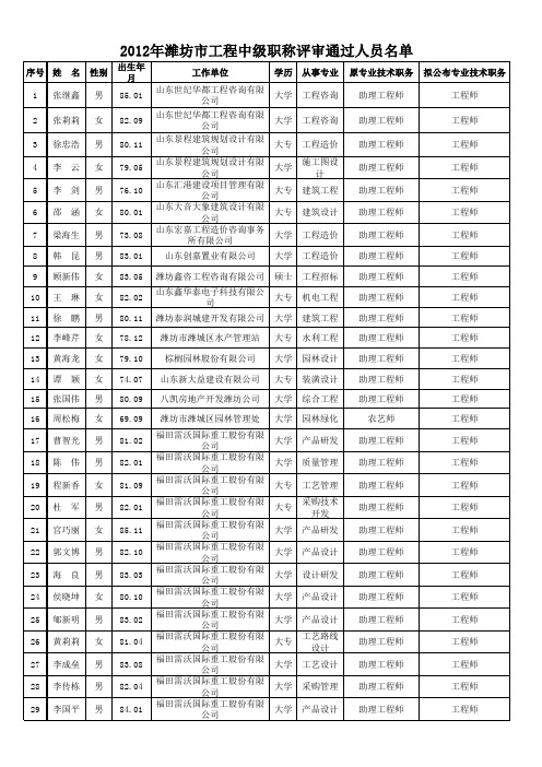2012工程中级