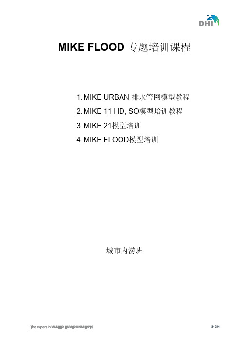 MikeFlood城市内涝水体模拟模型专题教程