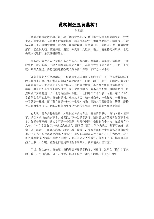 黄桷树还是黄葛树？