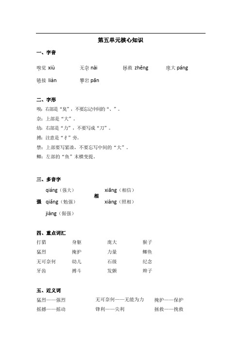四年级上册语文素材-第五单元核心知识梳理 部编版