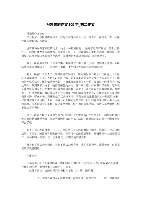 写凌霄的作文800字_初二作文.doc