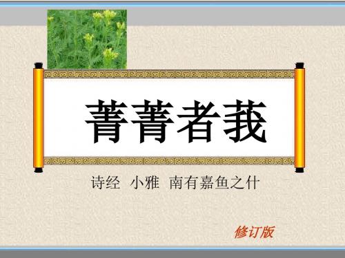 既见君子乐且有仪-菁菁者莪嘉鱼诗经