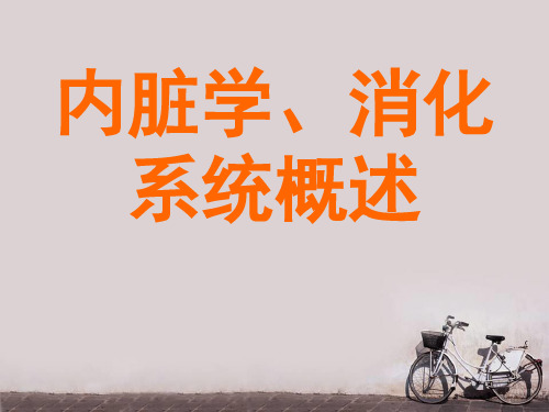 内脏学、消化系统概述  ppt课件