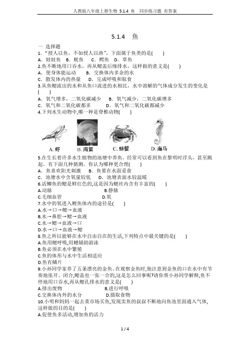 人教版八年级上册生物 5.1.4 鱼  同步练习题 有答案