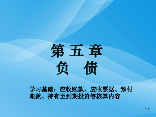 流动负债与长期负债(ppt 215页)