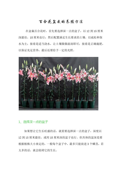 百合花盆栽的养殖方法