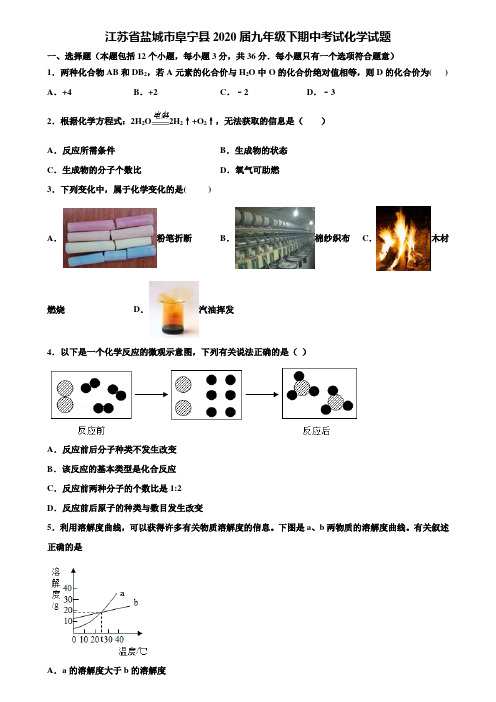 【附20套中考模拟试卷】江苏省盐城市阜宁县2020届九年级下期中考试化学试题含解析