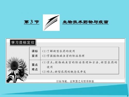 高中生物第3章生物科学与工业第3节生物技术药物与疫苗课件新人教版选修2