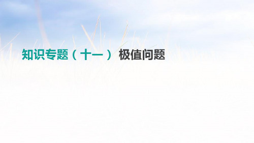 知识专题11 极值问题