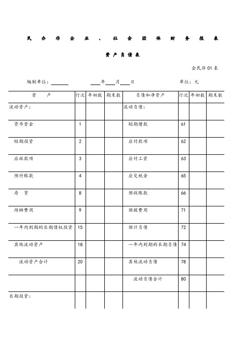 社会团体财务报表