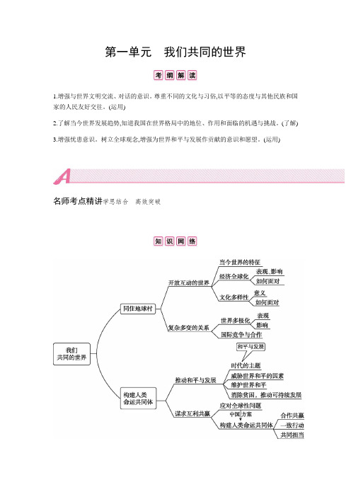 初中政治中考复习 第一单元  我们共同的世界