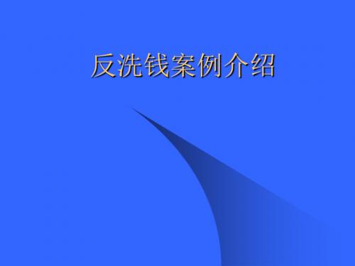 银行反洗钱案例介绍