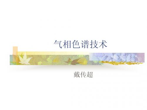 气相色谱技术