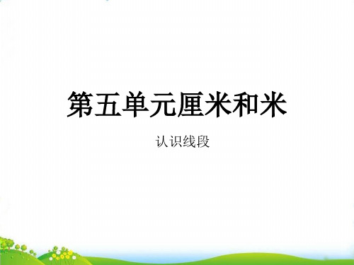 苏教版二年级上数学作业-第五单元 认识线段(7张)