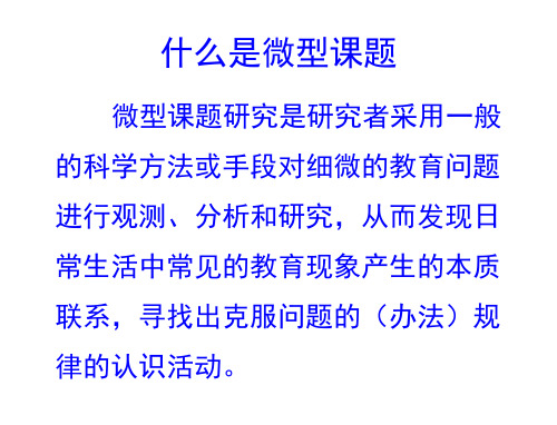 小学语文微型科研
