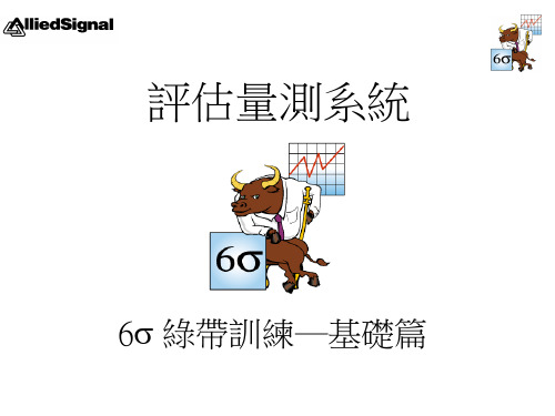 绿带学习资料10_MEAS