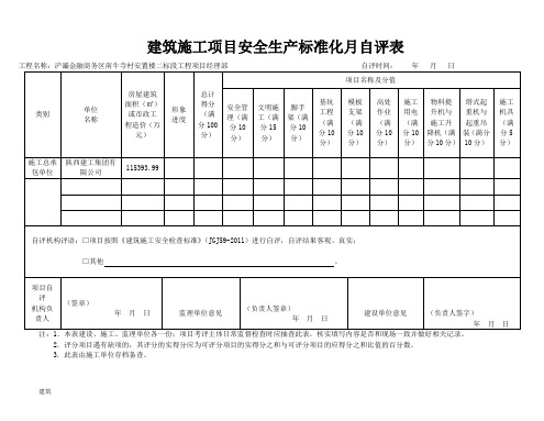 建筑施工项目安全生产标准化月自评表.doc